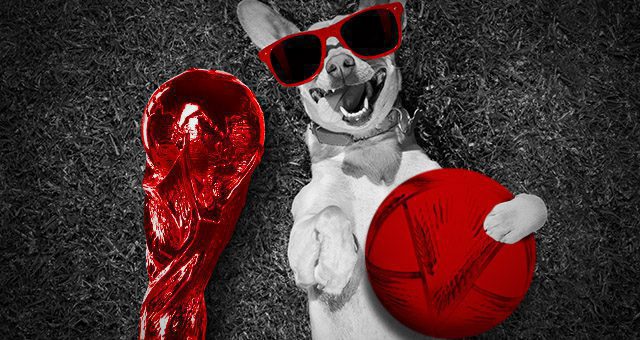 die Weltmeisterschaftstrophäe und ein Hund mit Sonnenbrille, der den Weltmeisterschaftsball hält