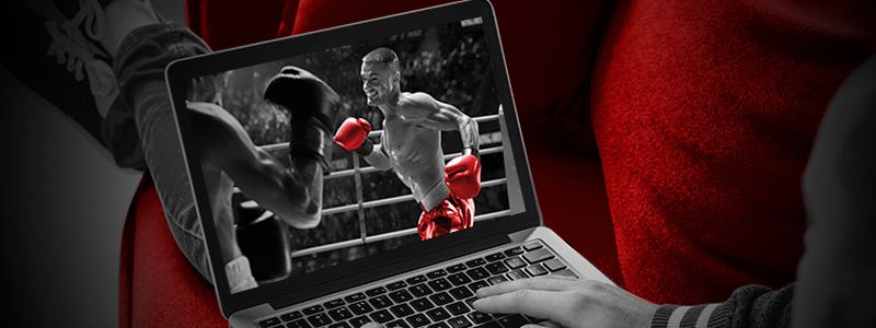 man watching boxing match on a laptop