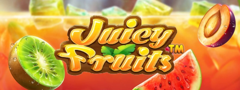 juicy fruits banner
