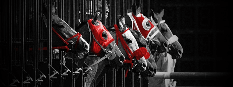 horse racing competition